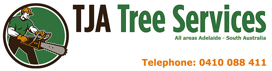 Tree Removal Adelaide