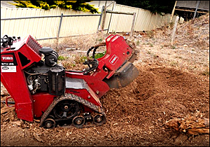 Tree Stump Grinders Adelaide
